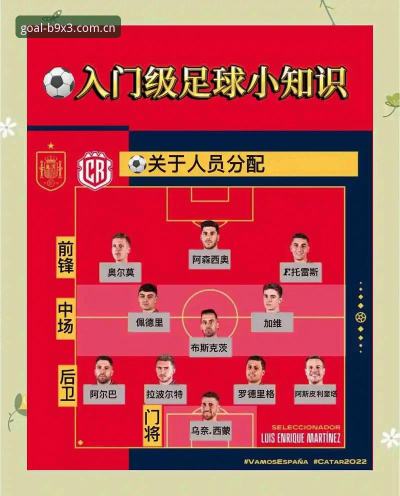 世界杯App更新官方下载操作教程：从安装到观赛全流程详解